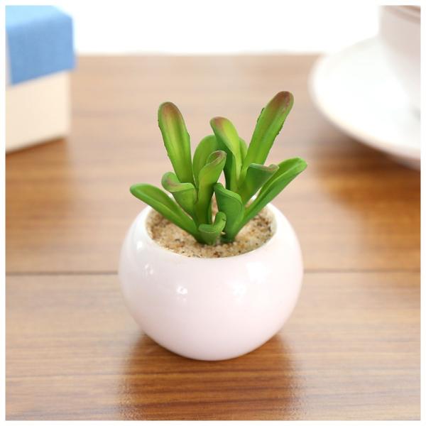 人工観葉植物 フェイクグリーン 造花 多肉植物 ミニサイズ インテリア 装飾 窓際 リビング 寝室 ガーデニング 癒し おしゃれ ギフト