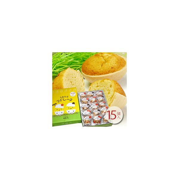 Ӓ XC[c Mtg ݂ă}h[k15  w j }h[k oYj v[g  䒆 hV̓ Ε N