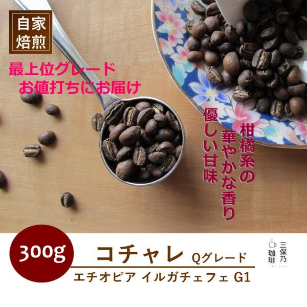モカ イルガチェフェ エチオピア コチャレ 300g 自家焙煎 コーヒー豆