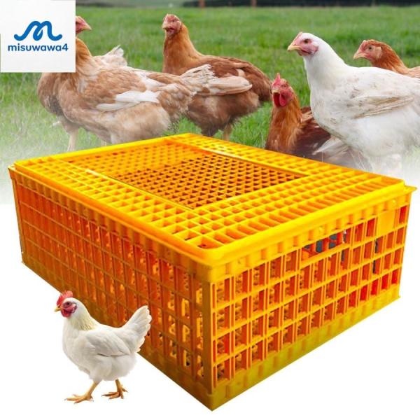 家禽輸送用クレート プラスチック製鶏輸送ケージ 鶏用クレート（成鶏8?11羽、アヒル、ガチョウ、鳥用）(74x54x28cm)