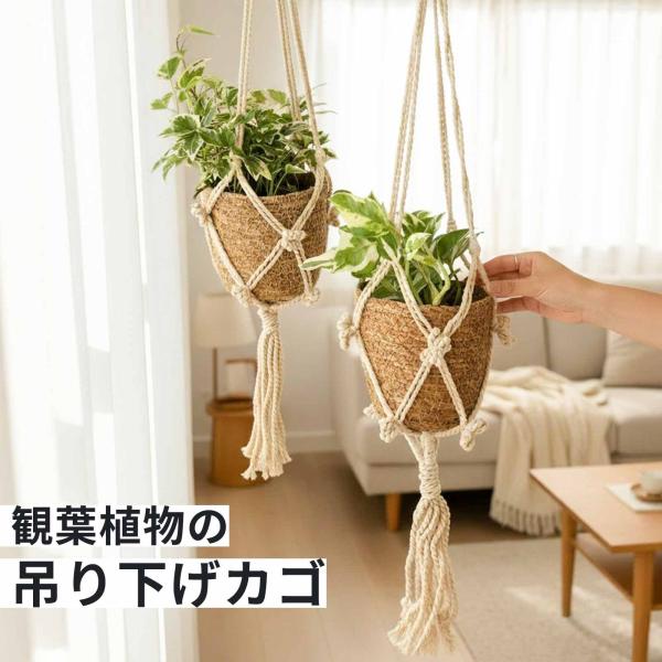ハンギングプランツ 吊り下げ 観葉植物 カゴ バスケット 鉢カバー おしゃれ 北欧 インテリア ナチュラル 天然素材 シーグラス 植物