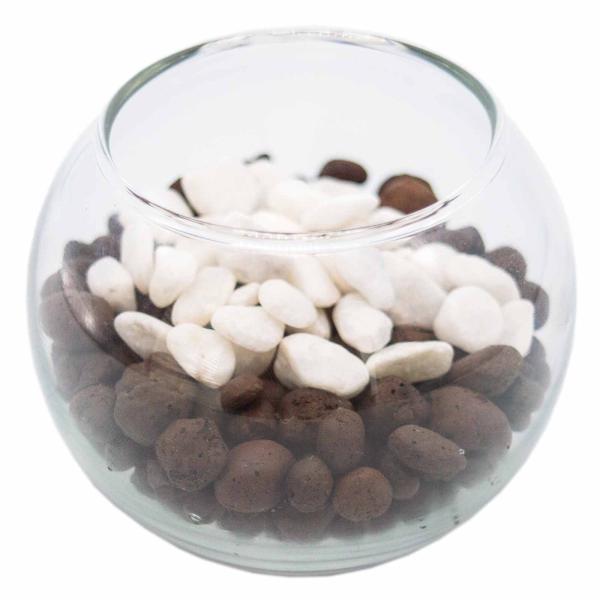 ハイドロカルチャー 容器 ハイドロコーン 飾り石 防腐剤 の4点セット 観葉植物