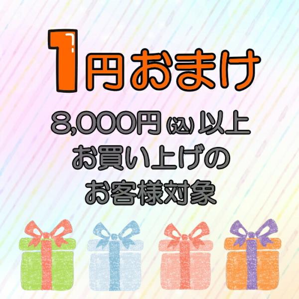 ≪下記の条件を満たすお客様のみ購入できます≫・単品でのご購入はできません。・1回のお買い物かご合計金額が8,000円(税込)以上のお客様。・1回のお買い物かごで1個しか購入できません。・必ず買い物かごにてご購入ください。後送はお受けいたしか...