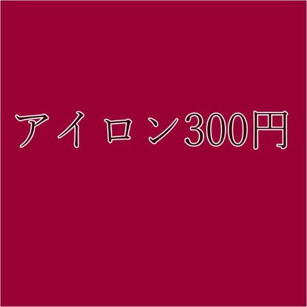 パーティードレスのアイロン300円追加の場合のみのページでございます。