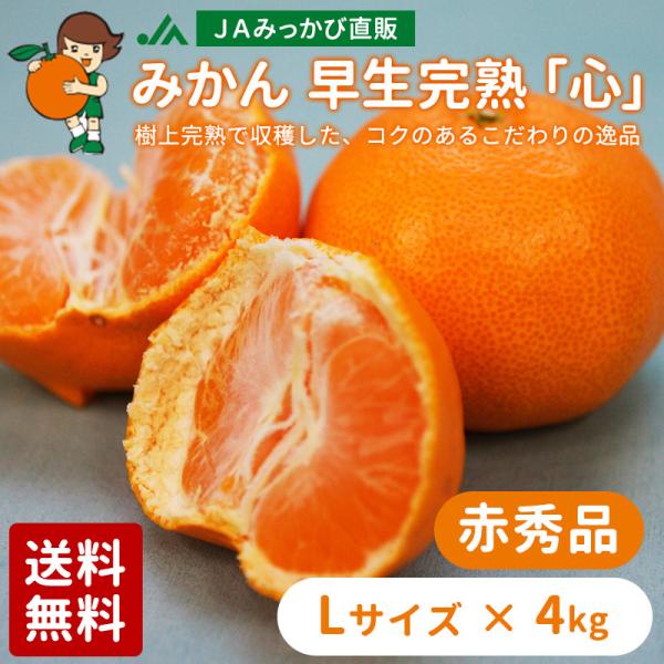 ݂ nuSvԏGi LTCY 4kg i`݂ Yn O~Jy̏iƓwsizyF2025N12{`{z