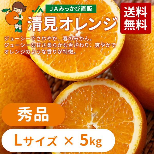 mikachanshop_175 mikachanshop_175