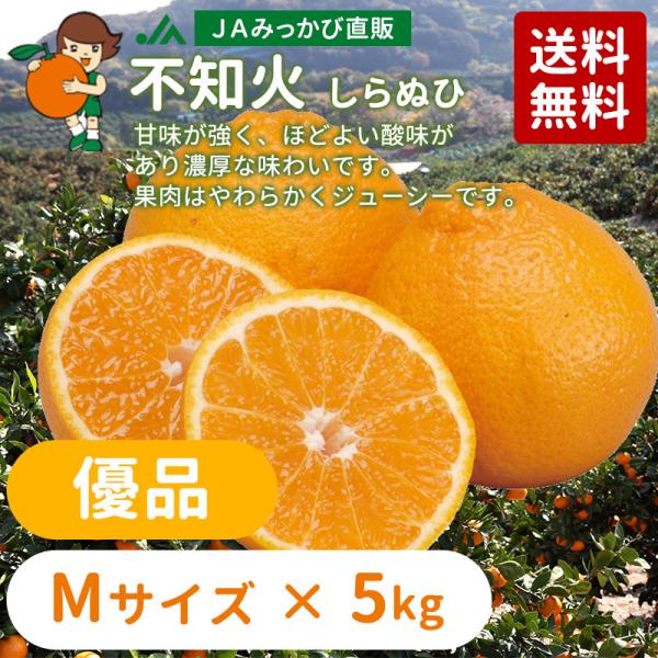 2月下旬発送】みかん 不知火（しらぬひ） 優品 Mサイズ 8kg箱（内容量