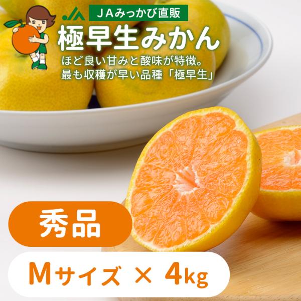 みかん 極早生みかん 秀品 Mサイズ 4kg JAみっかび 産地直送 三ヶ日ミカン :97:JAみっかび ミカちゃんショップ - 通販 - Yahoo!ショッピング みかん 極早生みかん 秀品 Mサイズ 4kg JAみっかび 産地直送 三ヶ日ミカン :97:JAみっかび ミカちゃんショップ - 通販 - Yahoo!ショッピング