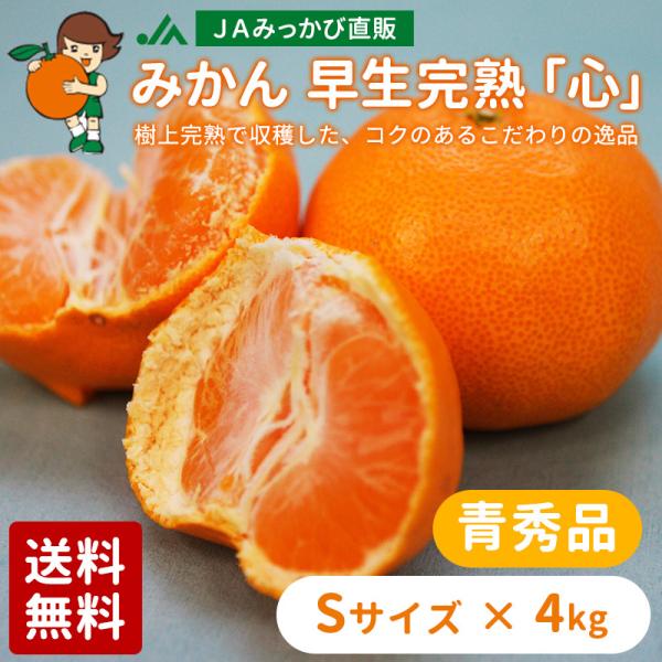 みかん 早生完熟「心」青秀品 Sサイズ 4kg JAみっかび 産地 みかん 早生完熟「心」青秀品 Sサイズ 4kg JAみっかび 産地