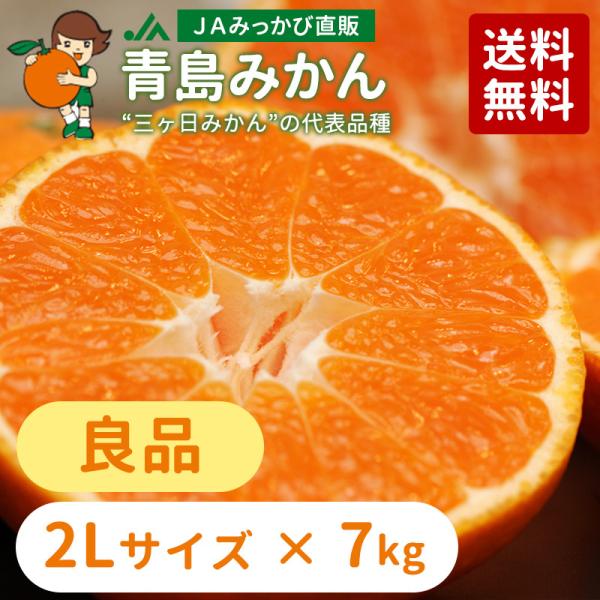 ݂ ݂ Ǖi 2LTCY 7kg i`݂ Yn O~Jy̏iƓwsizyNF2025N12{`{z