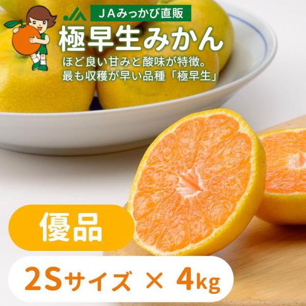 みかん 極早生みかん 優品 2Sサイズ ４kg【2026年】ＪＡみっかび 産地直送 三ヶ日ミカン