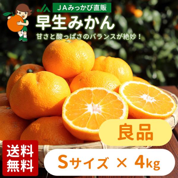 ݂ ݂ Ǖi STCY 4kg  i`݂ Yn O~Jy̏iƓwsizyF2025N11{`12{z