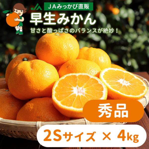 みかん 早生みかん 秀品 2Sサイズ 4kg【2026年】ＪＡみっかび 産地直送 三ヶ日ミカン【発送：2026年11月中旬〜12月上旬】発送時期の異なる商品と同時購入不可