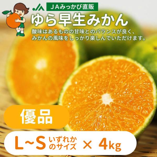 ゆら早生みかん 優品 L〜Sのいずれかのサイズをお届け（選択不可）数量