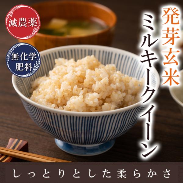 発芽玄米 減農薬 ミルキークイーン 2Kg 令和3年福井県産 特別栽培米 真空パック※もちもちして食べやすい