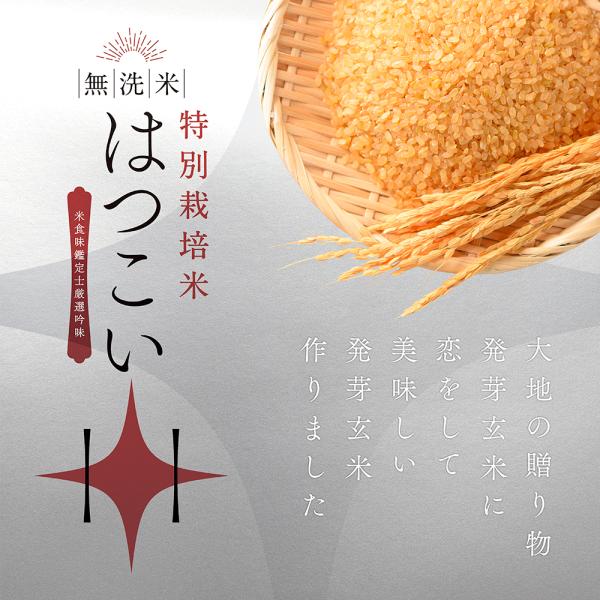 発芽玄米 無洗米 残留農薬ゼロ 特別栽培米コシヒカリ使用 「はつこい