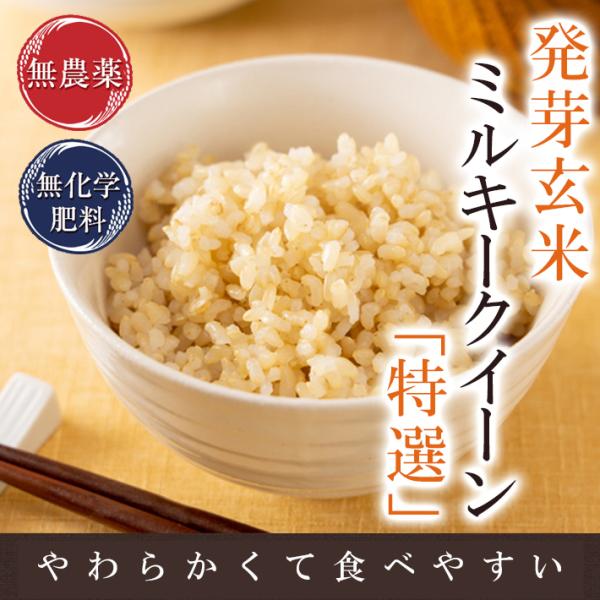 mikaku-club_hgm-5