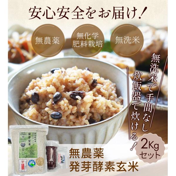 無農薬 発芽酵素玄米 2kgセット 送料無料 簡単にモチモチの発芽酵素