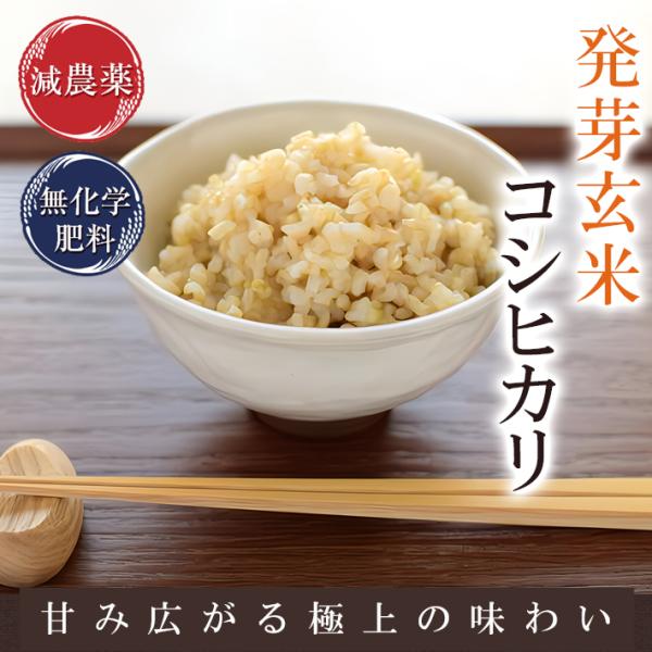 健康が一番大切！ ７年産コシヒカリ 発芽用玄米10kg特別栽培①化学農薬等不使用 コシヒカリ 発芽玄米 5Kg 残留農薬ゼロ 無洗米 もっちりで甘く豊かな