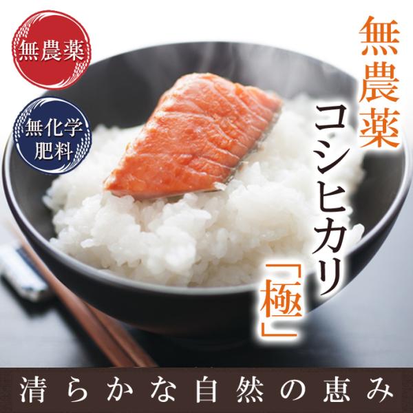 _   10kg(5kg×2j_ RVqJ  V ߘa7N䌧Y  _Ew엿͔|