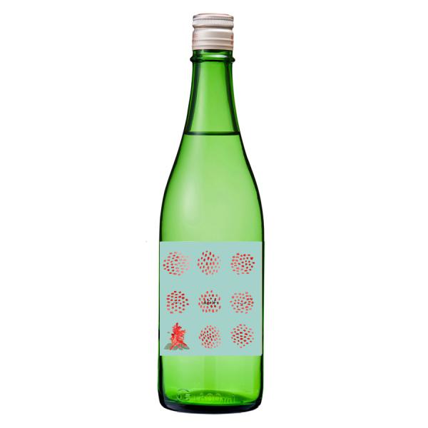 2026新作　新潟上越妙高地域限定　… as if …/salvia (アズイフ/サルビア)　千代の光酒造　720ml