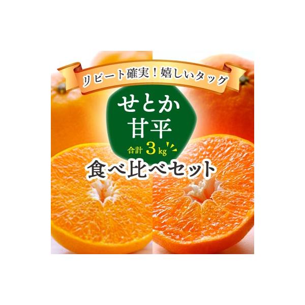 [Release date: February 25, 2026]2月の人気かんきつ2種を厳選！食べ比べもできるお得で楽しいセットです。愛媛県内でも屈指のブランド産地である西宇和地区八幡浜市産。・せとか味は甘く、濃厚でとろけるような食感。上...