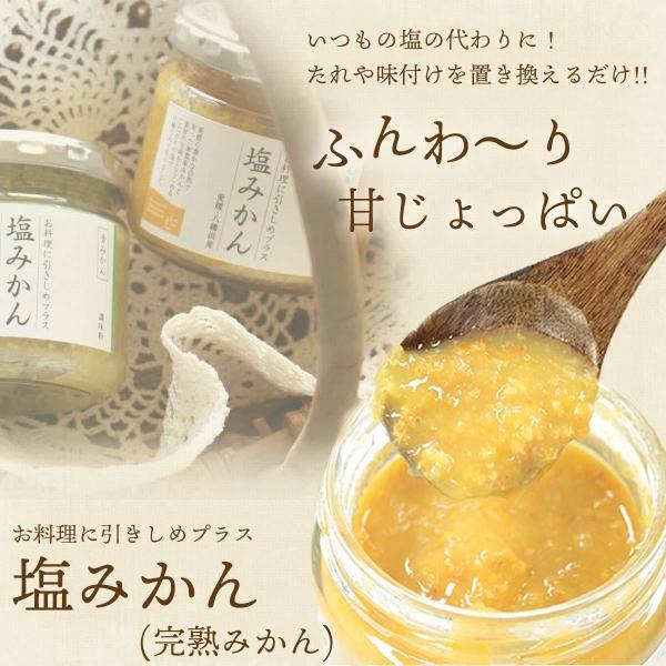 Mtg   Q ݂ n Ɉ߃vX ݂ (n݂) 150g 6{Zbg 020504301501 |Cgp 