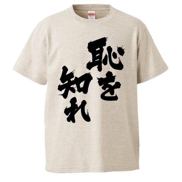 おもしろTシャツ 恥を知れ ギフト プレゼント 面白 メンズ 半袖 無地 漢字 雑貨 名言 パロディ 文字