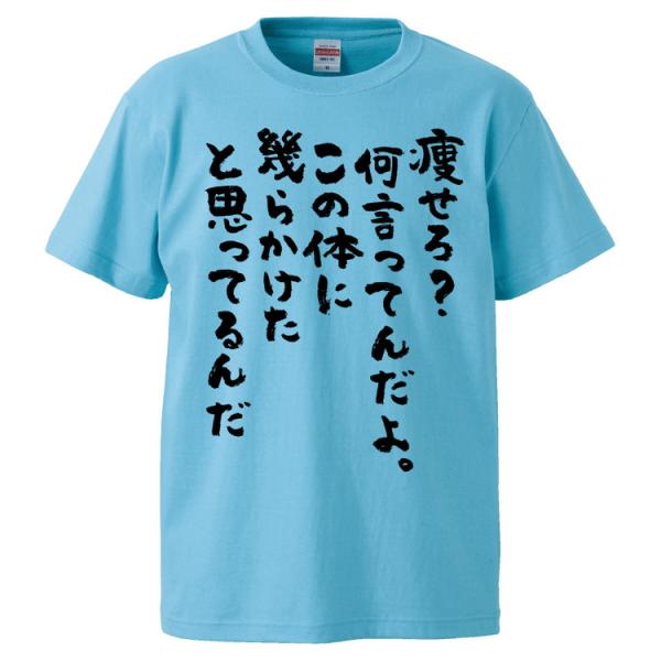 おもしろTシャツ 痩せろ？何言ってんだよ。この体に幾らかけたと思ってるんだ ギフト プレゼント 面白 メンズ 半袖 無地 漢字 雑貨 名言 パロディ 文字