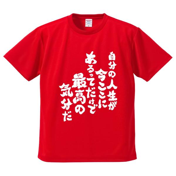 おもしろTシャツ みかん箱 自分の人生が今ここにあるってだけで最高の気分だ メンズ レディース ドライ 速乾 ポリエステル 半袖