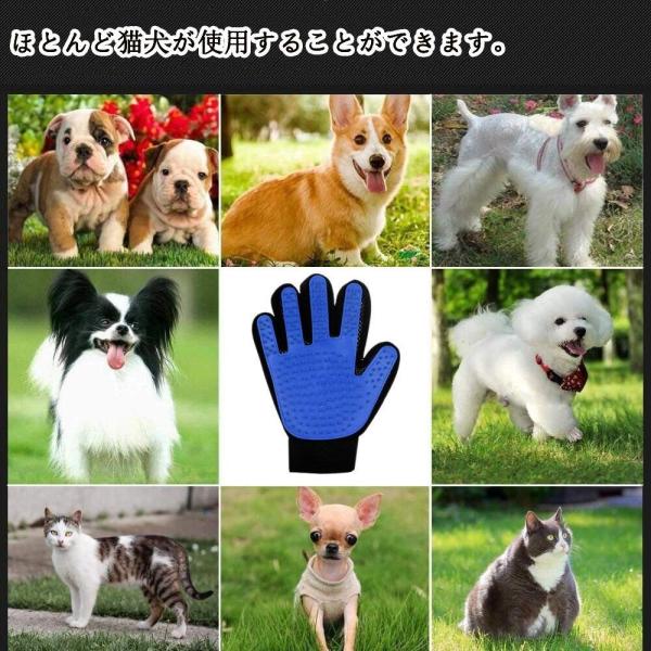 Hoopet 犬プール ペット用バスグッズ ベビー プール 小型犬 中型犬 大型犬 お風呂 折り畳み Pvc 80 cm Www Hotelimigrantes Com Br