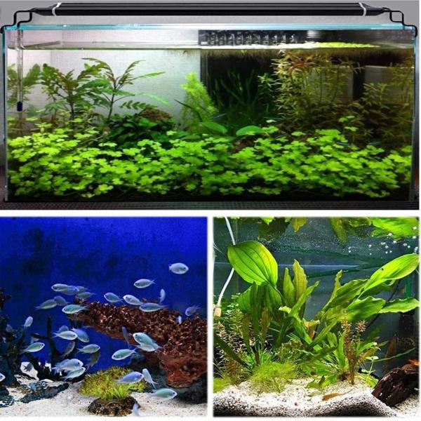 共同照明 水槽ライト アクアリウムライト 5色ledライト 28cm 46cm対応 Csscd 30 水槽照明 熱帯魚ライト 超明るい 超薄 Www Antipaminerals Com Au