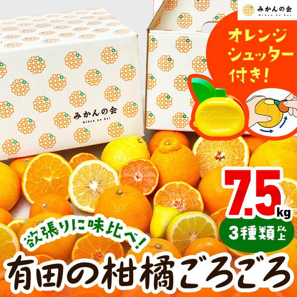 付録付き 有田の柑橘ごろごろ 3種以上 Ab品 7 5kg 秀優品混合 柑橘 フルーツ 果物 季節限定 箱買 送料無料 贈り物 贈答用 プレゼント ご当地 Knktgr 75ab 株式会社 みかんの会 通販 Yahoo ショッピング