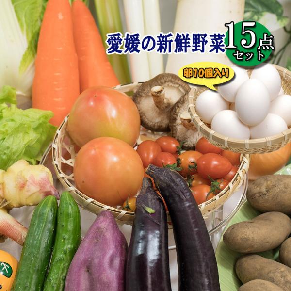 [Release date: April 10, 2018]野菜ソムリエ上級プロが選んだ、野菜福袋のご紹介です。【西日本 愛媛】海・山・太陽に囲まれた愛媛県。特別な実りが育つ環境で生産されたお野菜デラックス版　15品セット気温や天候により痛...