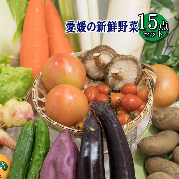 [Release date: April 10, 2018]野菜ソムリエ上級プロが選んだ、野菜福袋のご紹介です。【西日本 愛媛】海・山・太陽に囲まれた愛媛県。特別な実りが育つ環境で生産されたお野菜デラックス版 15品セット気温や天候により痛...