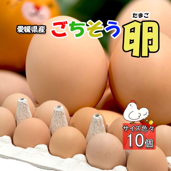 たまご 鶏卵 玉子 卵 タマゴ ごちそう卵 こだわりの濃厚 うまいたまごです。 10個 送料無料野菜ソムリエプロ厳選、確かな舌で選んだ卵です。健康でストレスの無いニワトリから生まれた卵を全国の方に。完全管理で環境を整え、餌にもこだわって臭み...