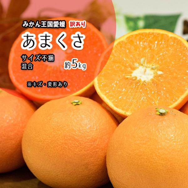 [Release date: January 13, 2023]あまくさ 箱買い 天草 訳あり 親品種 約5ｋｇ※こちらは大きさ不揃いの訳あり品です。（サイズ指定不可） 「天草（あまくさ）」は、「清見タンゴール」と「興津早生みかん」を掛け合...