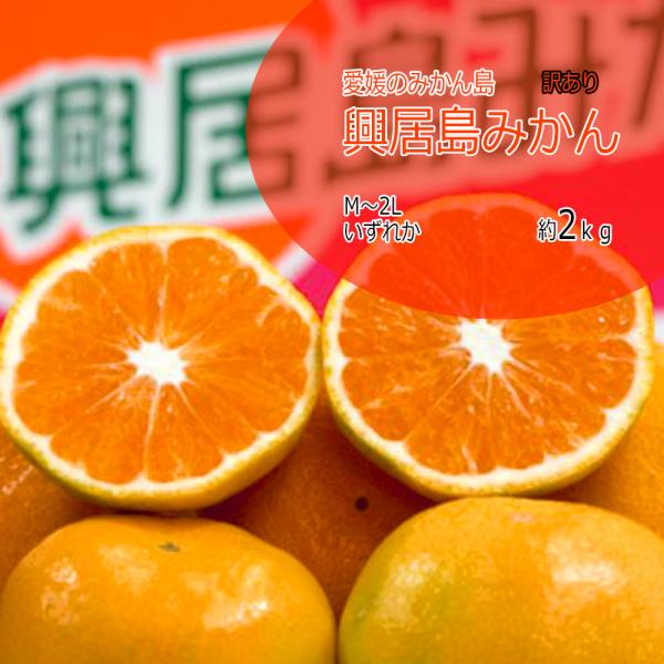 みかん 箱買い 興居島みかん 興居島 みかんの島 M〜2L 訳あり 約2ｋｇ 送料無料 愛媛みかん内容：興居島みかん原産地：愛媛県内容量：2kg S-2Lいずれか 訳あり※訳ありみかんには、葉傷、変形、変色が見られます。みかん王国・愛媛の中...