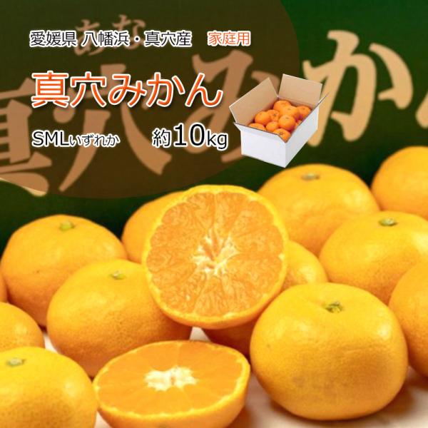 真穴みかん 家庭用 みかん 真穴 約10ｋｇ SML いずれか 送料無料※家庭用商品は真穴シールがつきません。内容：真穴みかん原産地：愛媛県真穴地区内容量：10kg SMLいずれか 家庭用ファンがが多くお問い合わせも多数いただいておりました...