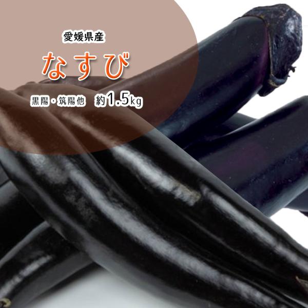 [Release date: May 4, 2018]なすび 愛媛県産 なす 茄子 ナス 黒陽 筑陽 他 約1.5ｋｇ 8〜12本煮てよし、漬けてよし、焼いても揚げてもよし！夏は茄子の栄養と美味しさで乗り切れる！内容量：なすび 愛媛県産  ...
