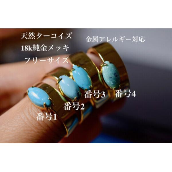 14102 i VR gR Y O }[L[X ^[RCY w Y ̓ a t[TCY ̓  LO