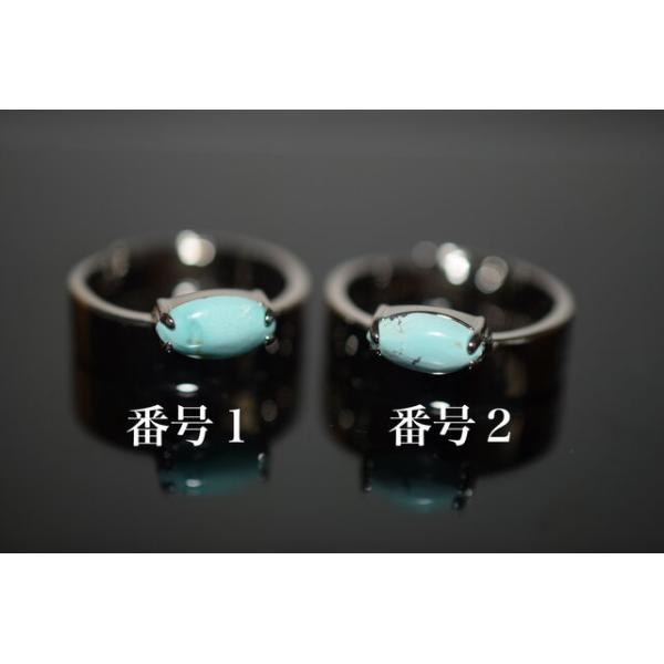 14137 i VR gR Y O }[L[X ^[RCY w Y ̓ a t[TCY ̓  LO