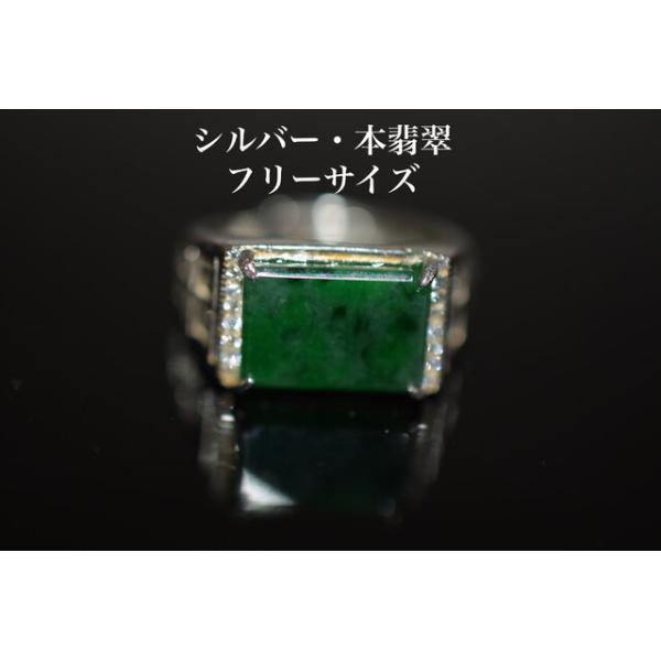 09 Vo[ VR [ {Ő O w ̓ Y fB[X a t[TCY q ގ ̓  j v[g ̓