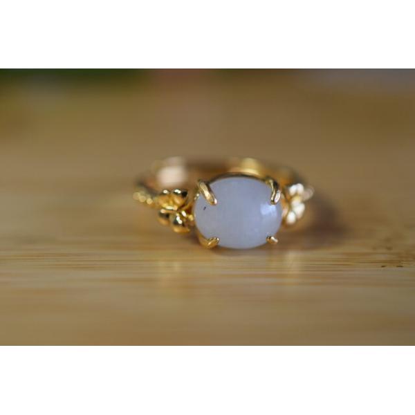 E195 i VR~}[Y I {Ő  w X O ̓ a t[TCY