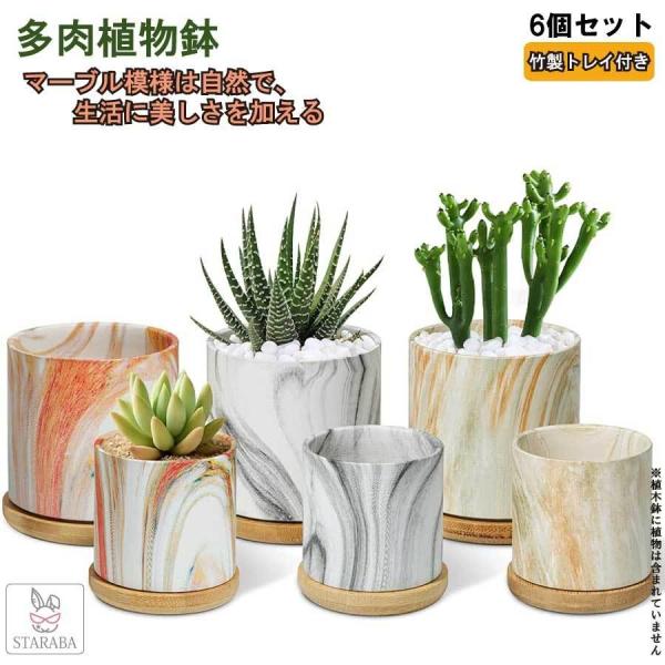 植木鉢 陶器製 6個セット 2号鉢 多肉植物 竹製鉢皿付き サボテン