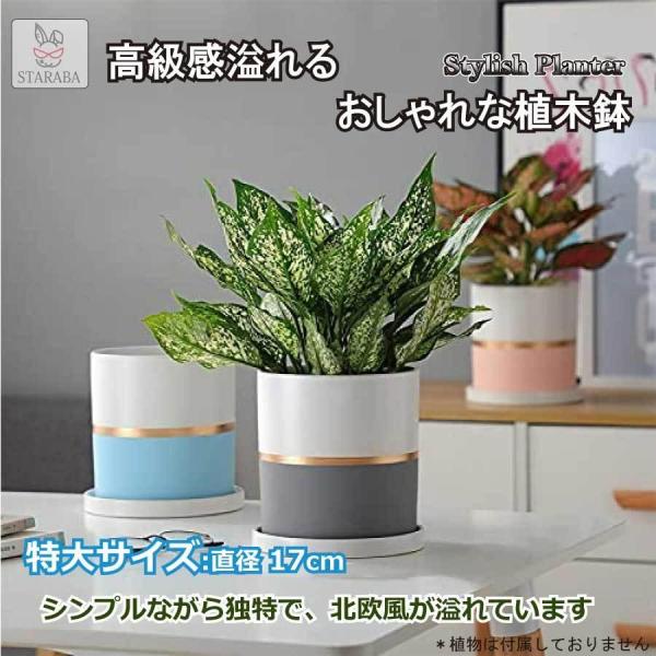 特大サイズ 陶器鉢 17cm 植木鉢 おしゃれ 鉢植え プランター 円筒形