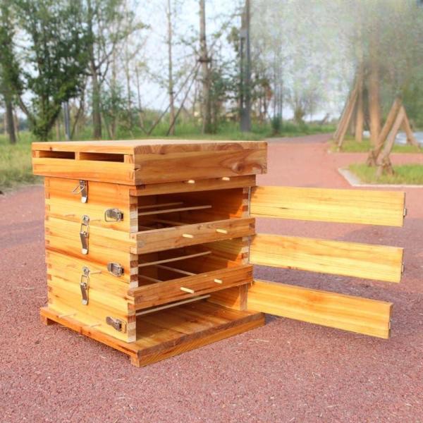 ハチの巣箱は、高品質な杉材を使用し、各板が高温でワックスを煮て処理されています。この特別な処理により、ボックスは防水性、防湿性、防虫性があり、耐久性があり、変形しにくいという特長を持っています。ハニカム基を必要としない独自の設計で、簡単に蜂...