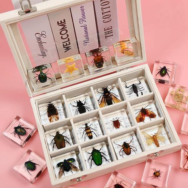 1.絶妙な昆虫標本ギフトボックスセット。 1つの標本のサイズは38 * 38 * 14cmです。お好きなセットをご購入ください。2.この絶妙な動物標本は、内部に本物の昆虫標本があり、外部に樹脂が鋳造されており、きめが細かい。3.あなたのニー...