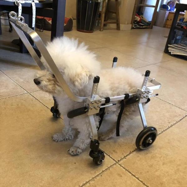 犬用歩行器 ペット車椅子 犬用車椅子 後ろ足 元気 リハビ 用サポート ペット用 歩行器 ドッグウォーカー アルミ合金 犬用4輪歩行器 高さ 幅 調節可能 お散歩 補