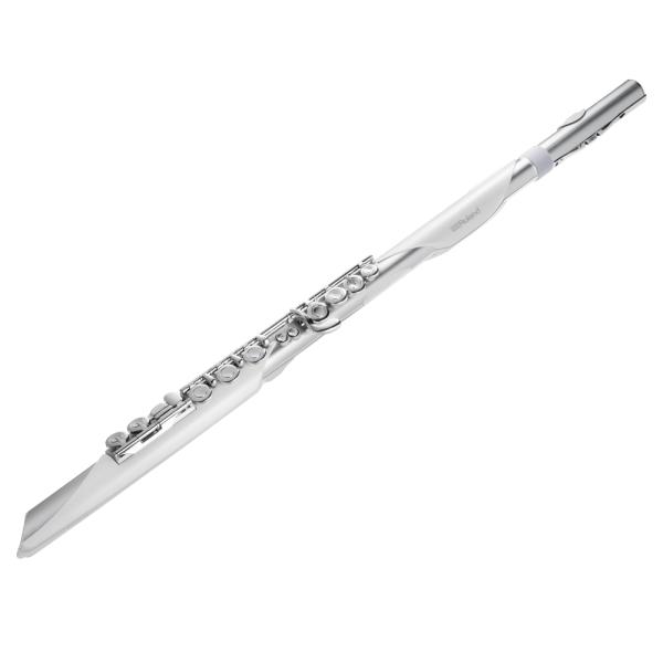 Roland エアロフォン・ブリサ Aerophone Brisa AE-BRISA ローランド